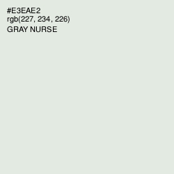 #E3EAE2 - Gray Nurse Color Image